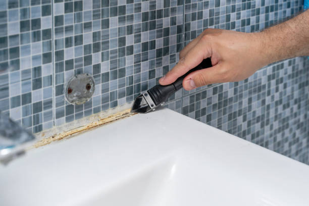 Best Fast Mold Removal  in Limon, CO
