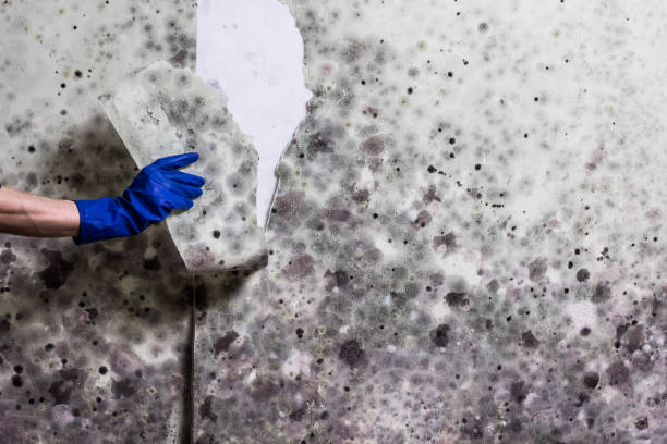Water Damage Restoration in Limon, CO